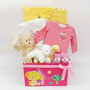B313 Baby Girl Hamper